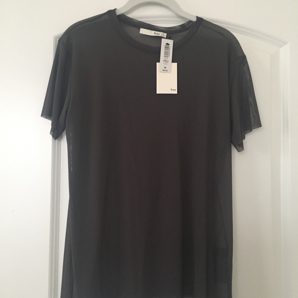 Aritzia sheer short sleeve top